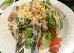 エギング釣行記