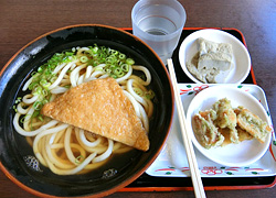 エギング釣行記