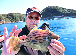 エギング釣行記