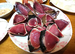 エギング釣行記