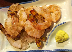 エギング釣行記