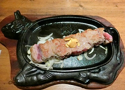 エギング釣行記
