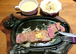 エギング釣行記