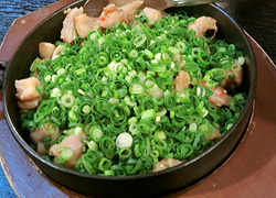 エギング釣行記