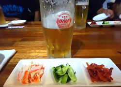 エギング釣行記