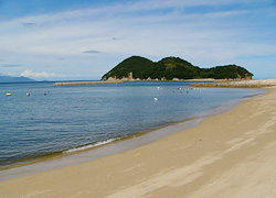 釣行レポート