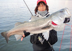 釣行レポート