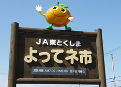釣行レポート