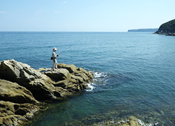 釣行レポート
