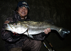 釣行レポート
