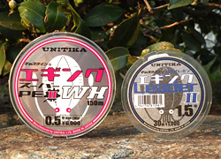 釣行レポート