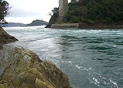 釣行レポート
