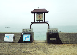 釣行レポート