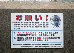 釣行レポート