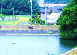 釣行レポート