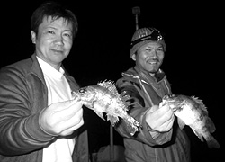 釣行レポート