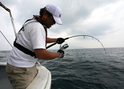 ソルトルアー釣行記