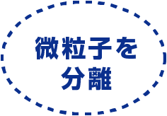微粒子を分離